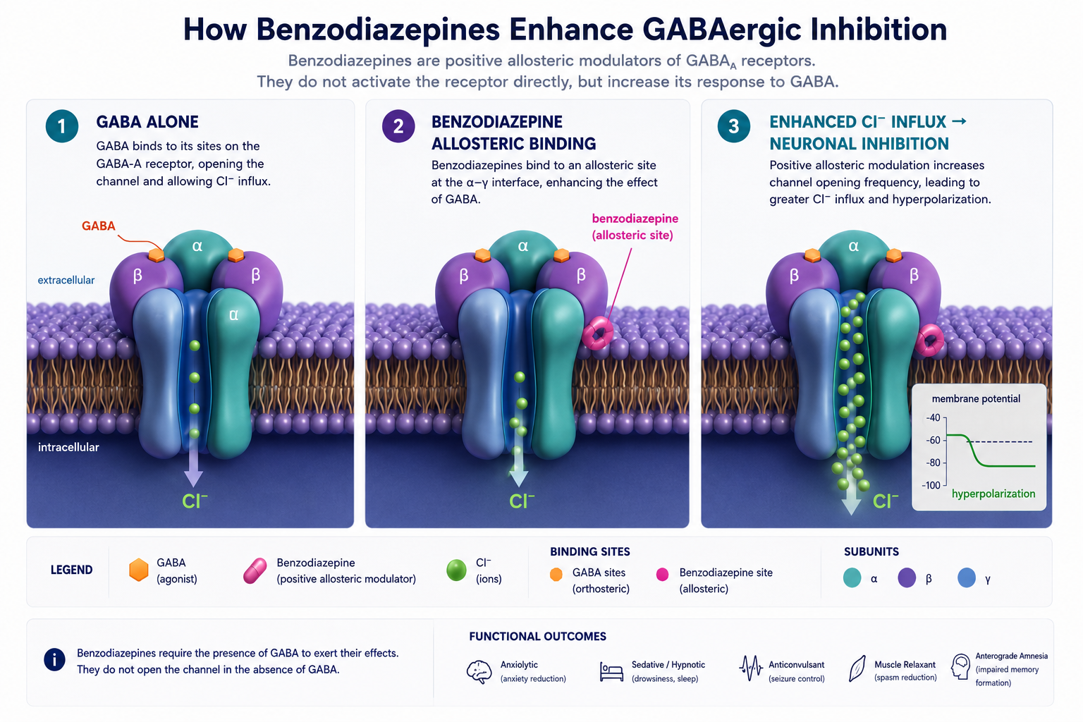 Benzodiazepines and the Chemistry of Anxiety